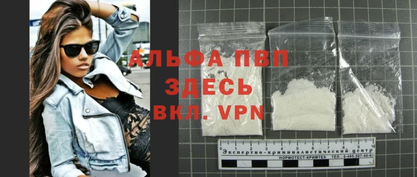 ешки Белокуриха