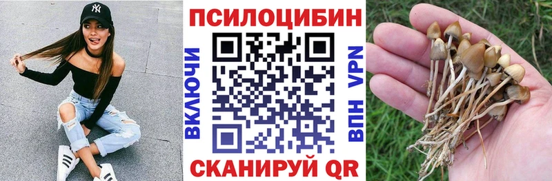 Псилоцибиновые грибы Psilocybe  Кодинск 